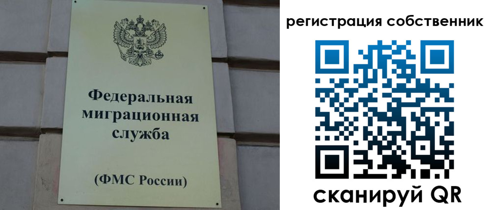 прописка гарантия в Тейково